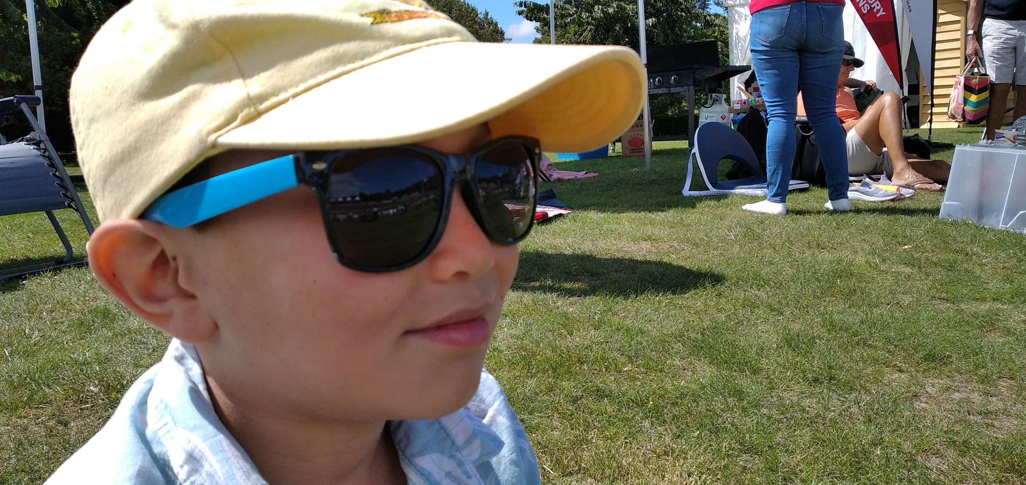 Harry_cricket